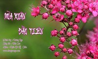 有关春天的优美、触动人心的歌曲