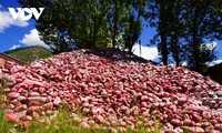 Mani stone mounds feature typical cultural characteristics of Tibetans